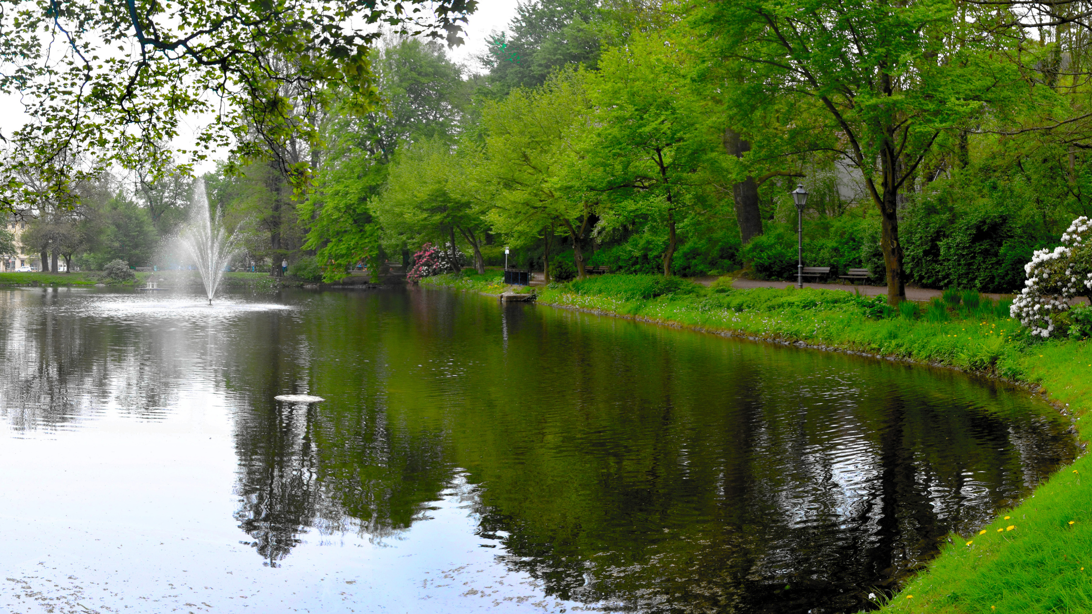 Pauritzer Teich Altenburg-Thüringen